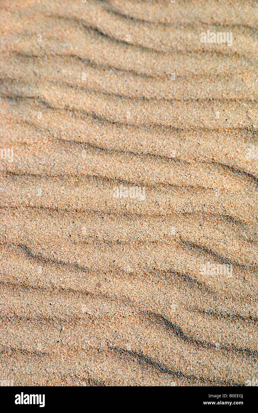 Sand ripples on the beach Stock Photo