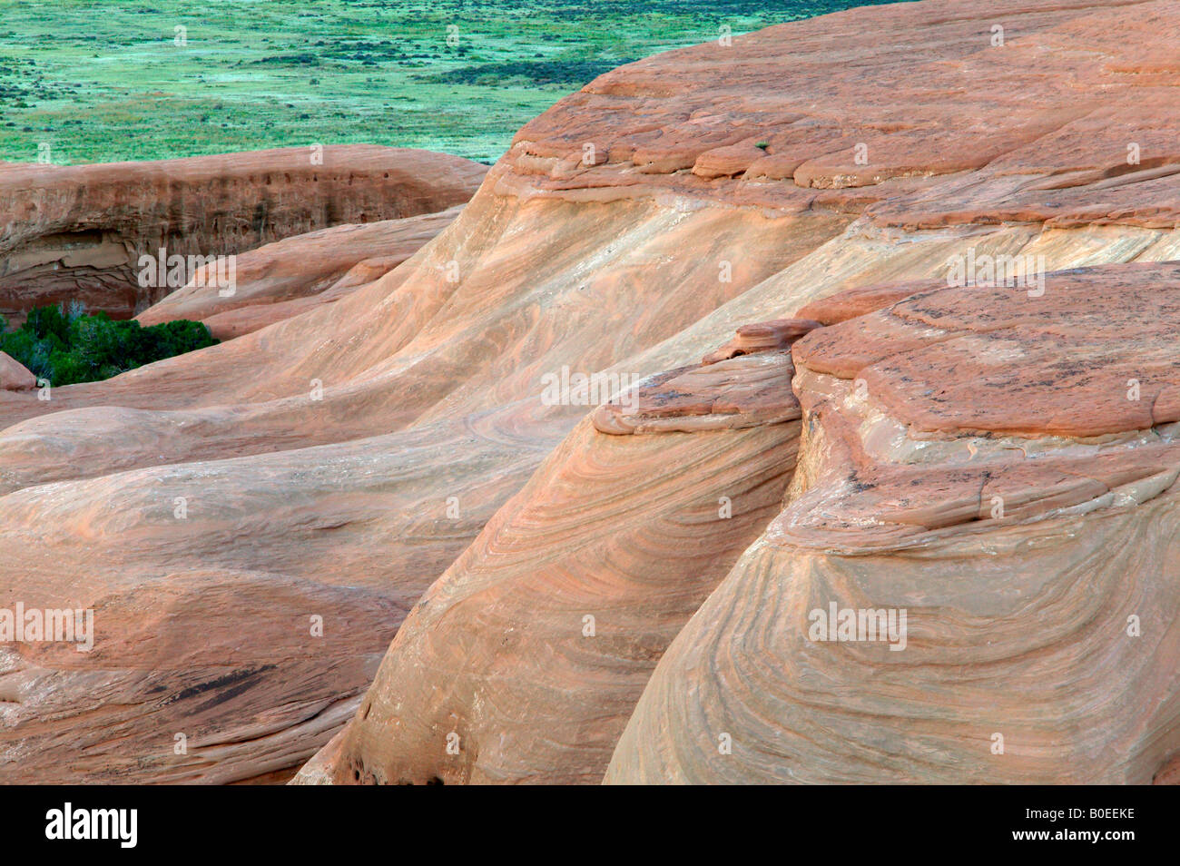 petrified sand dune, Arches National Park, Utah Stock Photo
