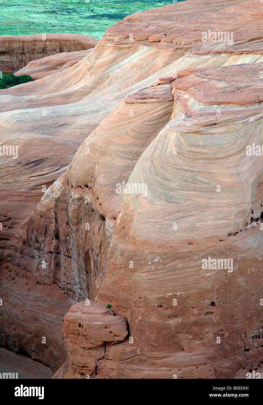 petrified sand dune, Arches National Park, Utah Stock Photo
