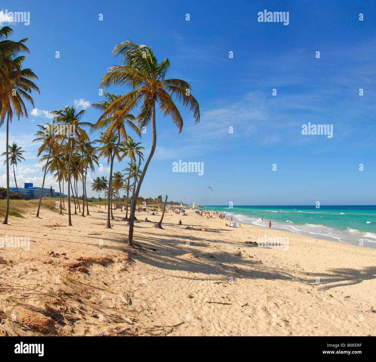 Palm trees on Playa del Este beach Havana Cuba Stock Photo