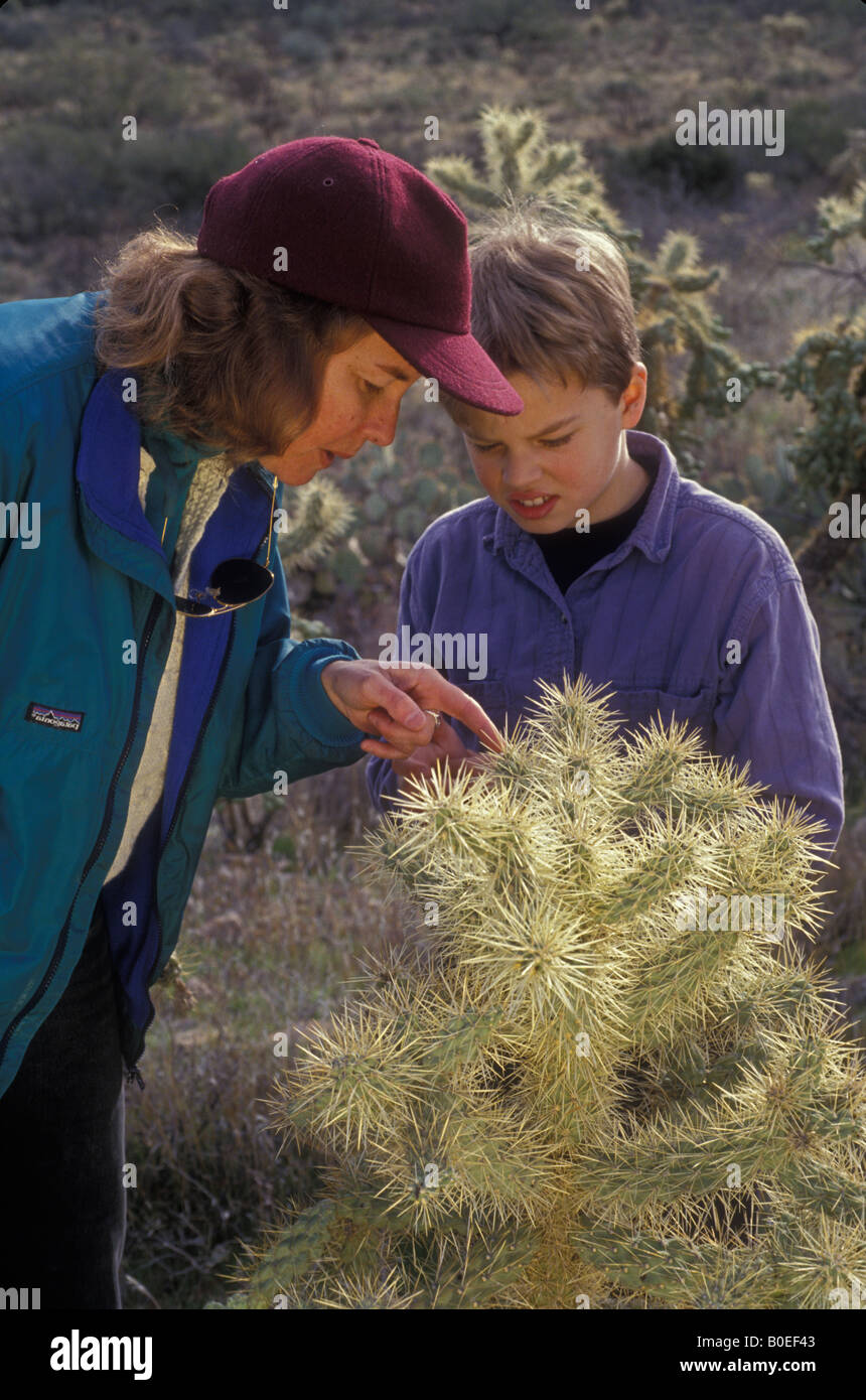 Woman and Child Looking at Cholla Cactus - Arizona Stock Photo