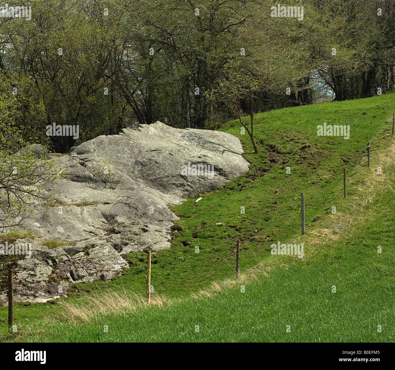 Rock ledge on Vermont hillside in spring with new growth, fence and grass Stock Photo