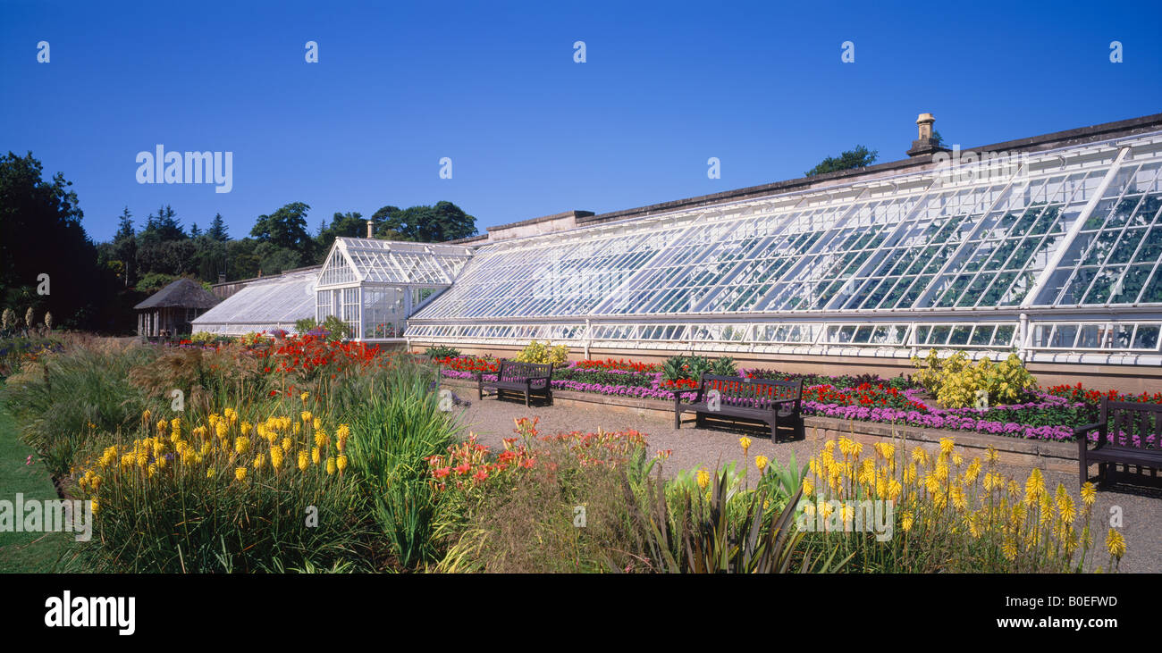 The Vinery greenhouse in Culzean Castle Gardens, South Ayrshire