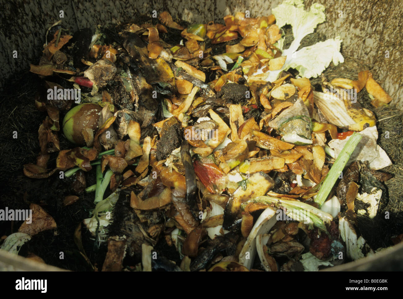 recycling kitchen waste in home composter bin used in an environmental way for natural garden