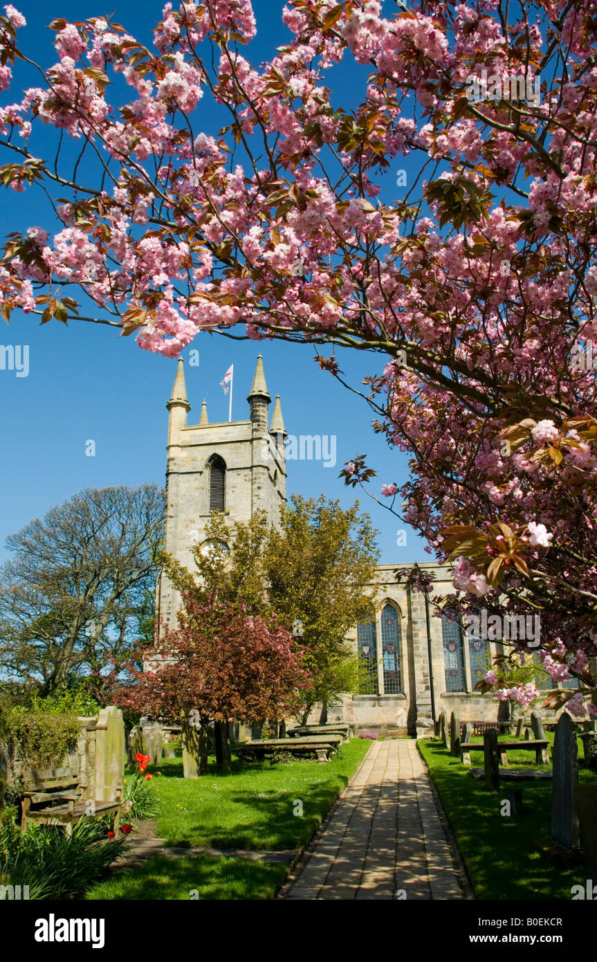 St Mary's Church, Belford, Northumberland Stock Photo Alamy