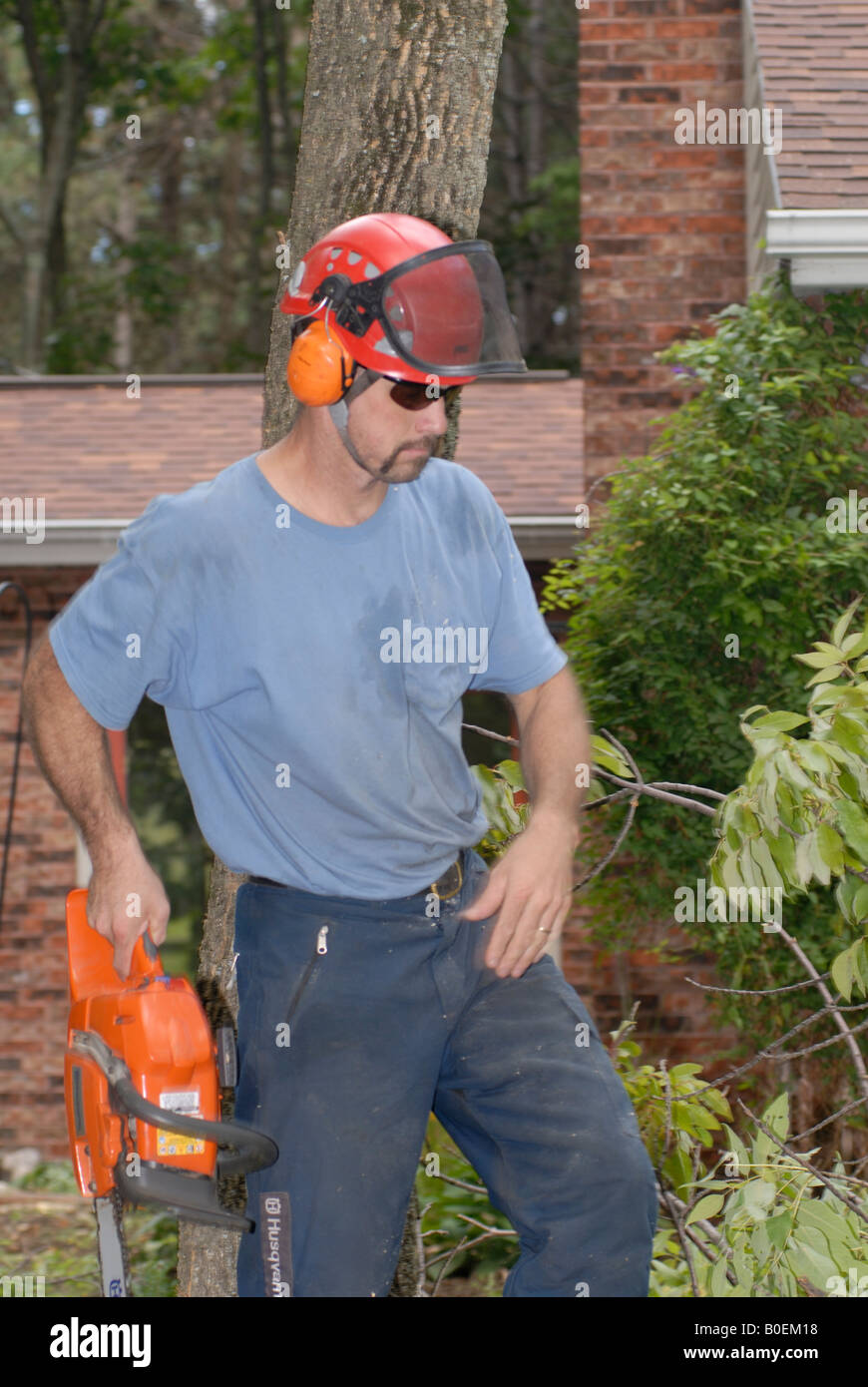 Tree surgeon working with a chain saw Stock Photo