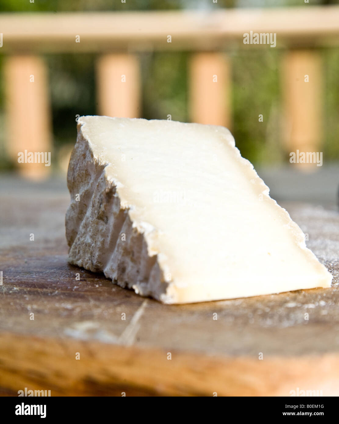 Hard Surrey Cheese Stock Photo Alamy