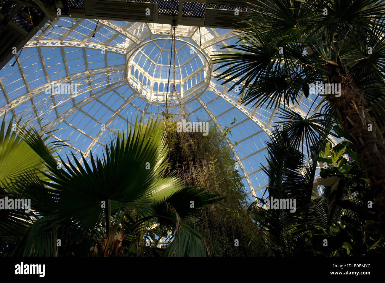 Sefton Park Palm House Stock Photo Alamy sefton-park-palm-house-stock-photo-alamy