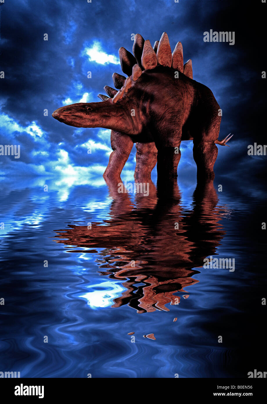 prehistoric dinosaur Stegosaurus wading in shallow lagoon at dawn Stock Photo