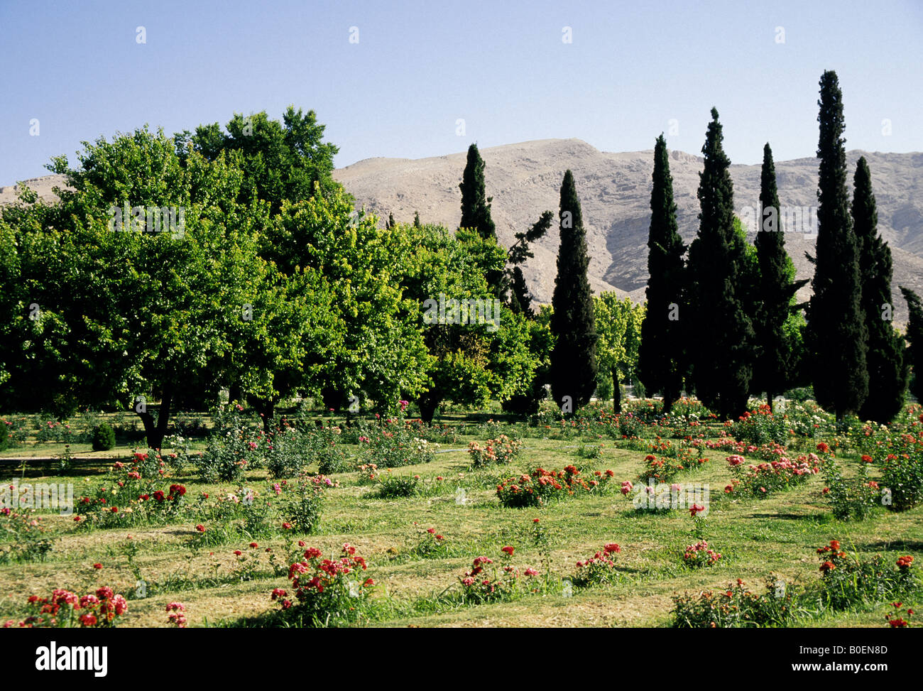 Bagh E Eram Palace Gardens Garden Of Paradise In Shiraz Iran