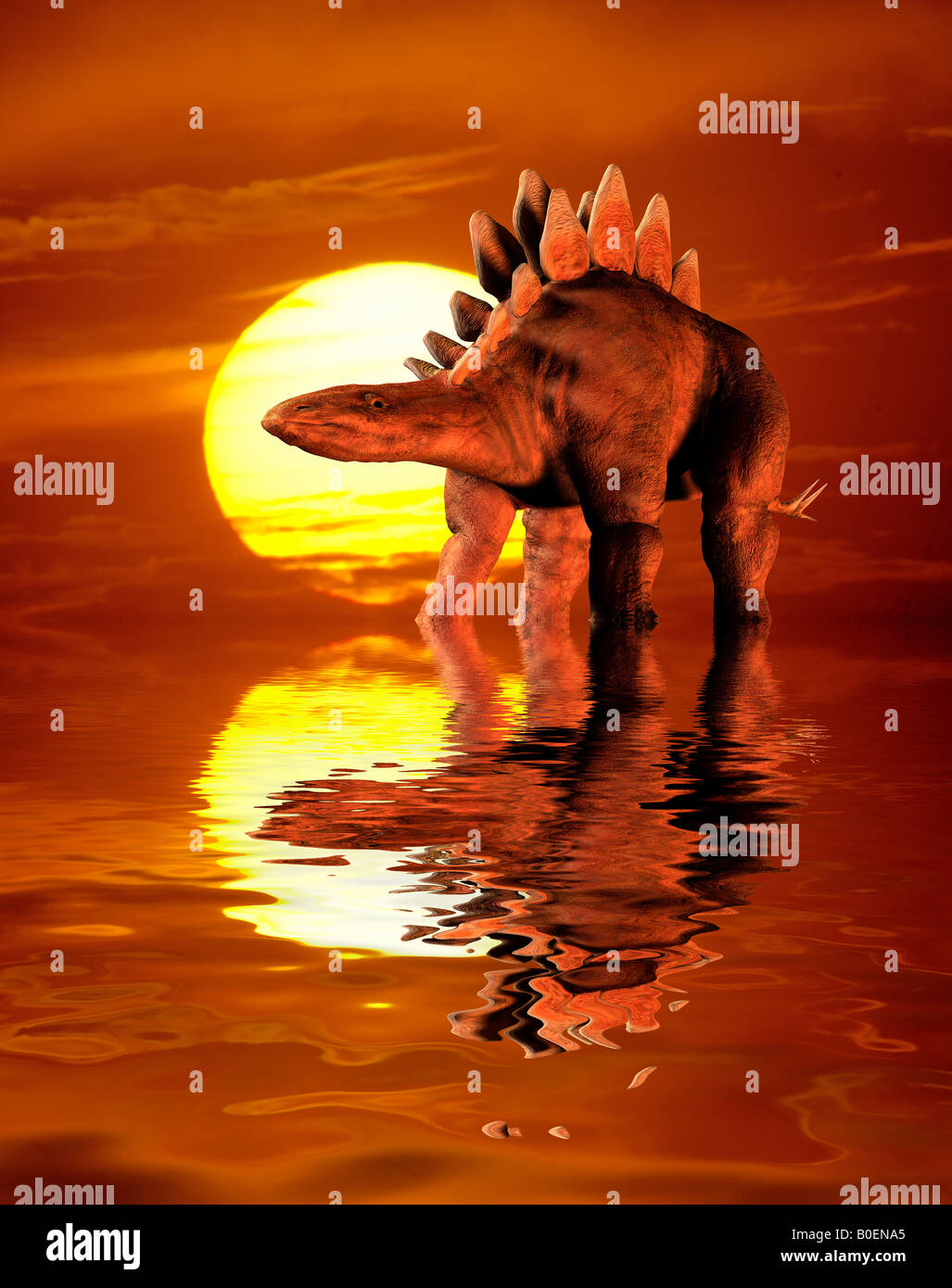 A prehistoric dinosaur Stegosaurus wading in shallow lagoon at sunset Stock Photo