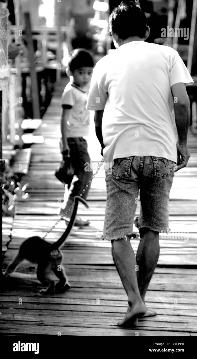 man taking monkey for a walk, kuching, sarawak Stock Photo