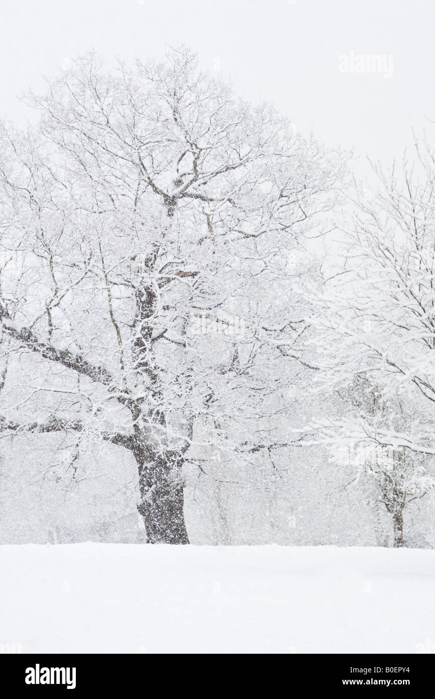 London snow scene hi-res stock photography and images - Alamy
