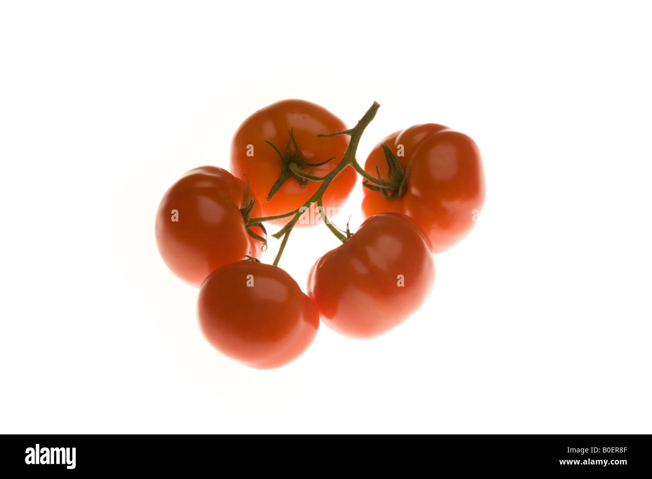 Tomato grown tomate hires stock photography and images Alamy