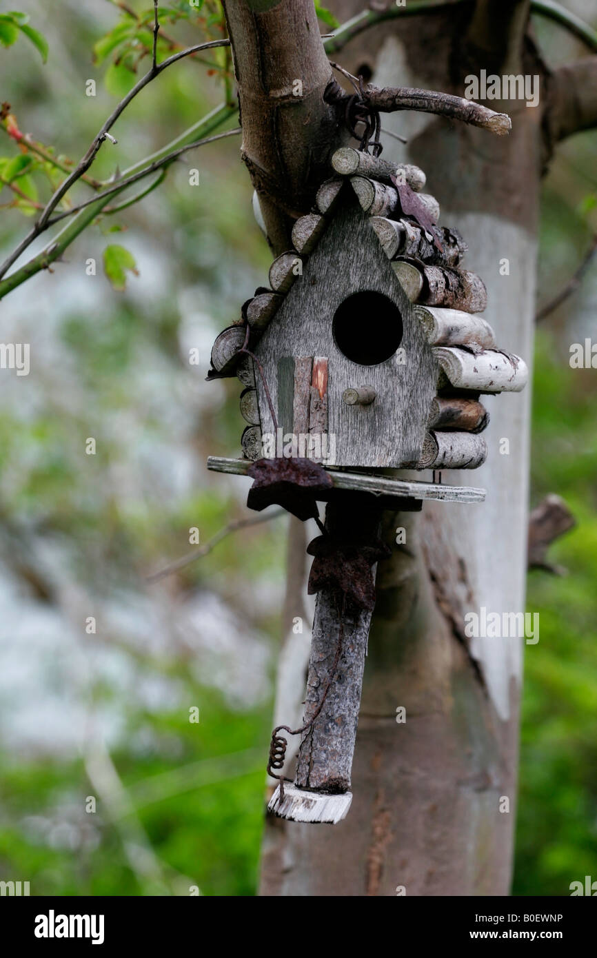 Bird house hanging from tree hires stock photography and images Alamy