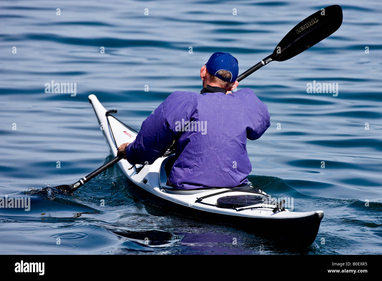 Rowing a kayak Stock Photo Alamy