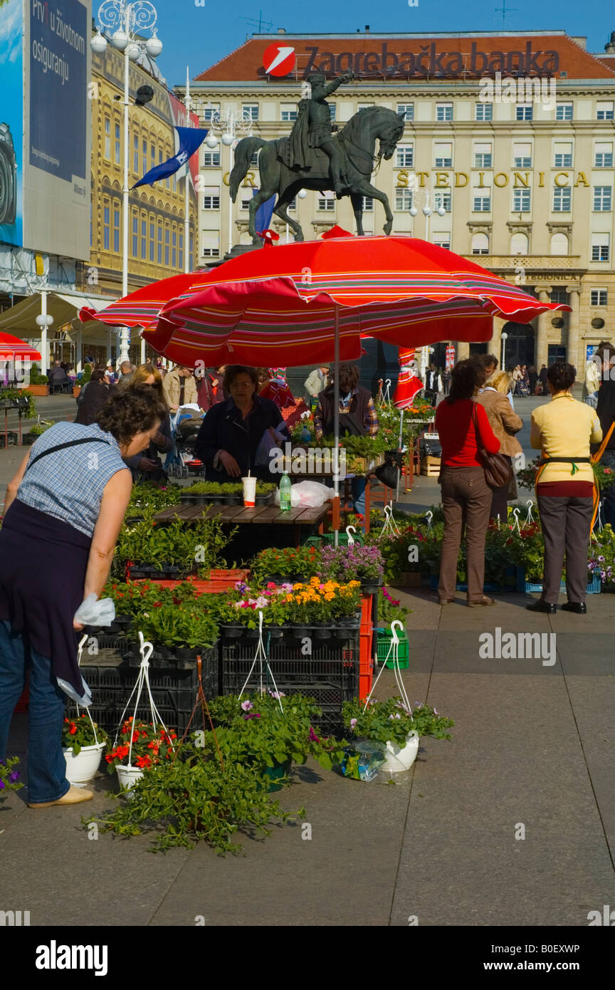 Flower stall at Trg Jelacica in Zagreb Croatia Europe Stock Photo Alamy