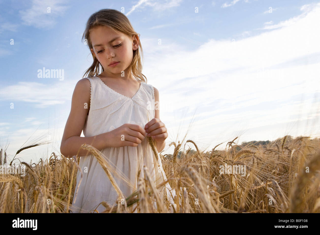 Young girl standing in corn field Stock Photo - Alamy