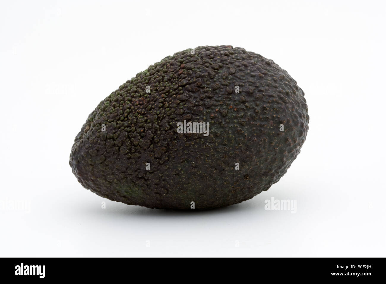 Avocado London England United Kingdom Stock Photo