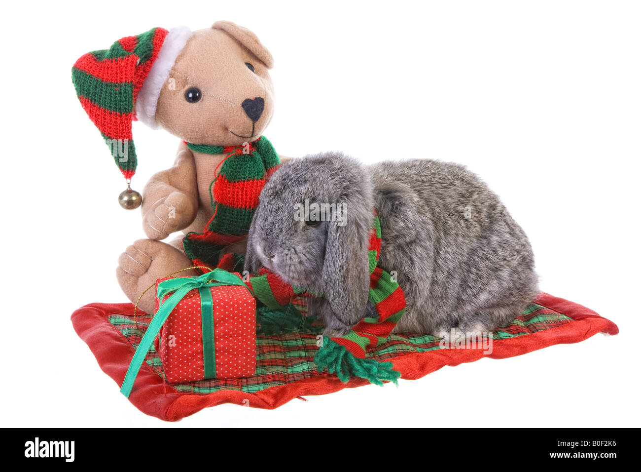 bunny rabbit teddy bear