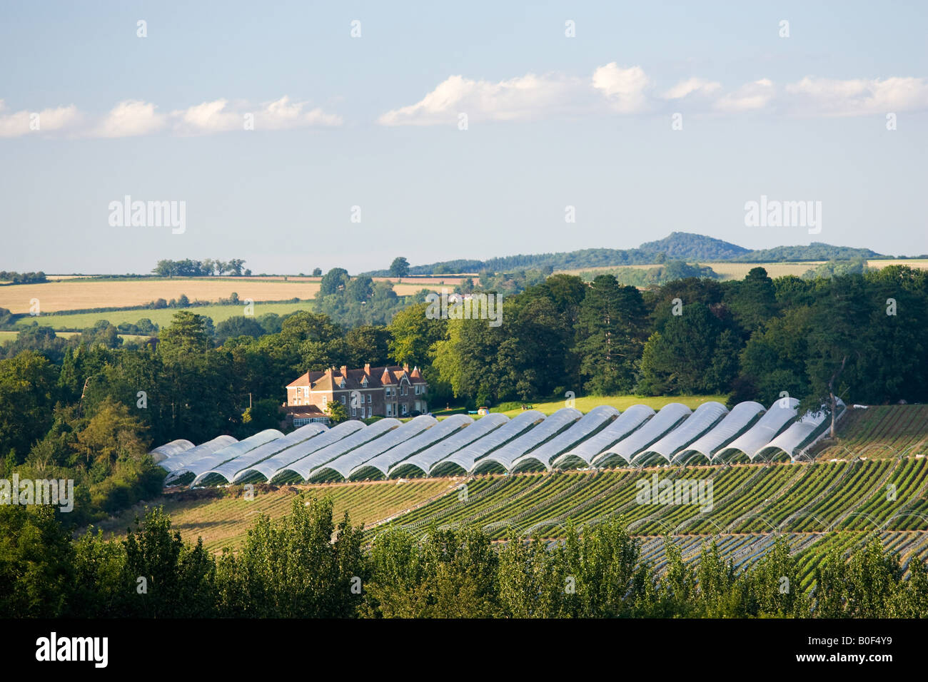 Fruit tunnel frames at Harewood End Herefordshire England United