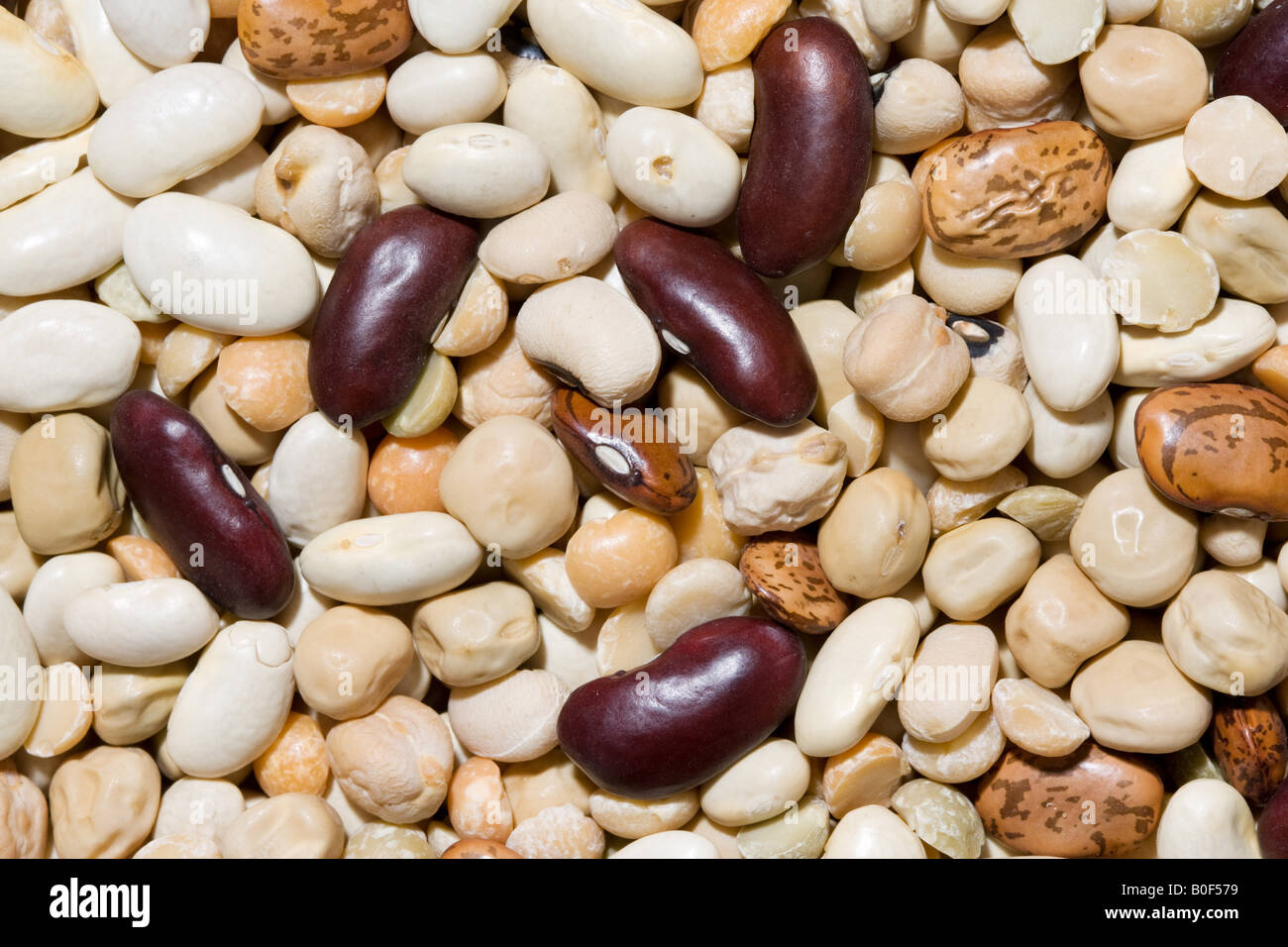 Dried beans and pulses London England United Kingdom Stock Photo Alamy