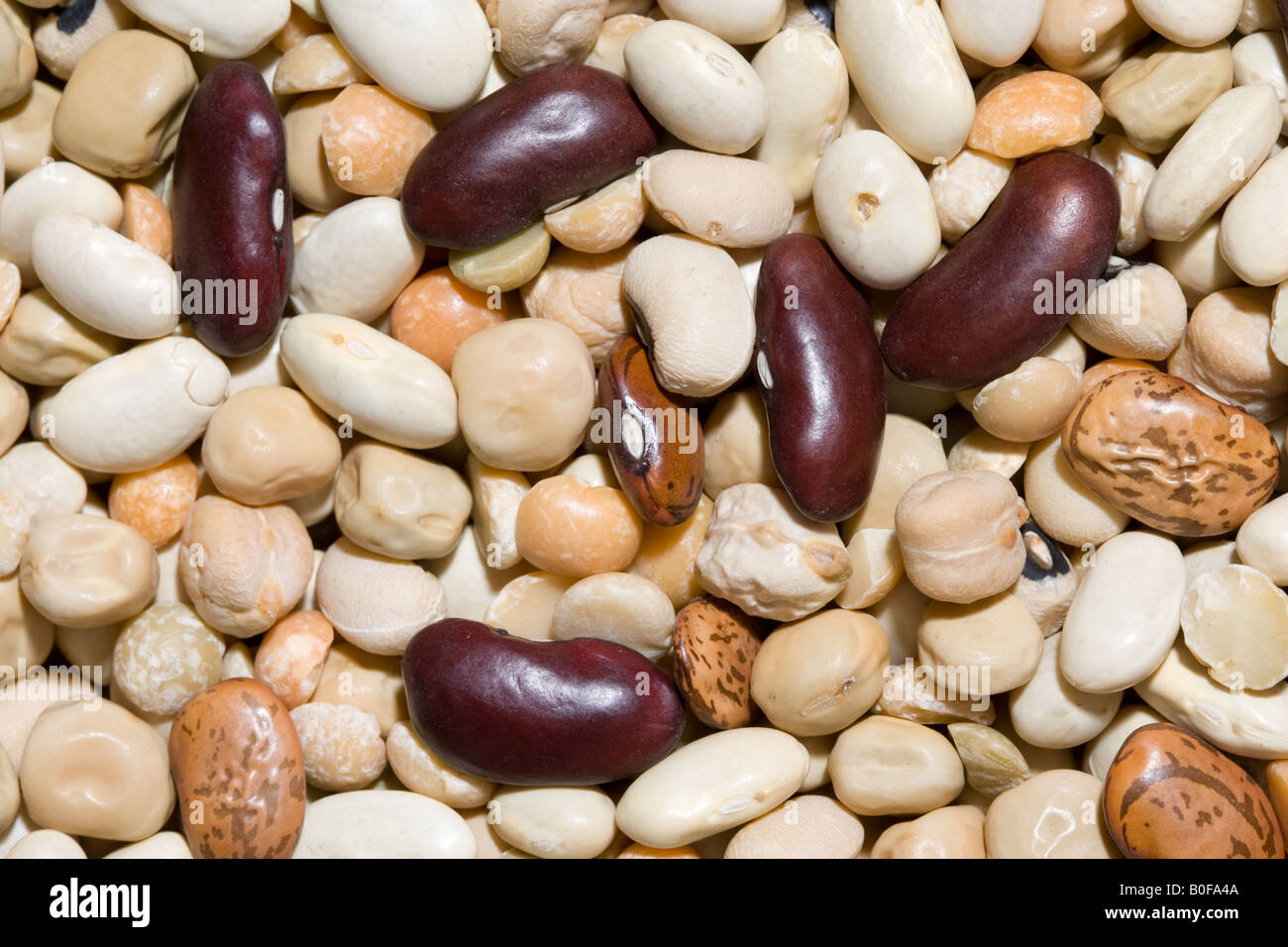 Dried beans and pulses Stock Photo