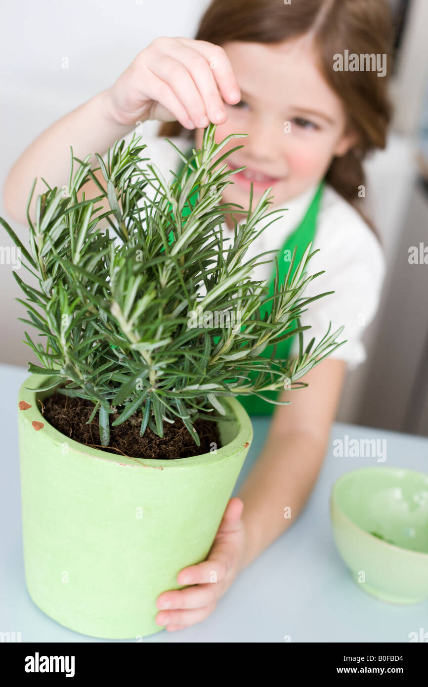 Girl pulling herbs Stock Photo Alamy