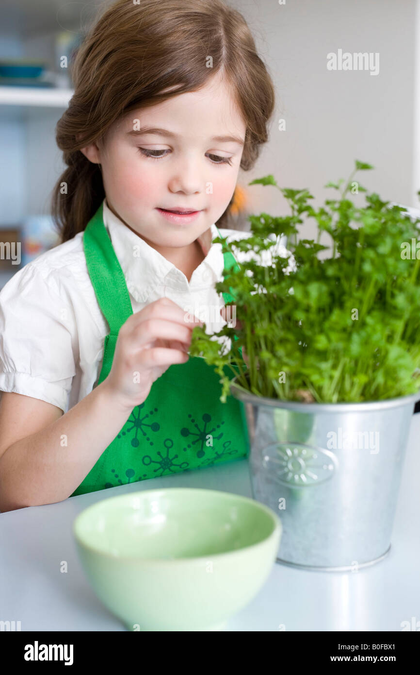 Girl pulling herbs Stock Photo Alamy