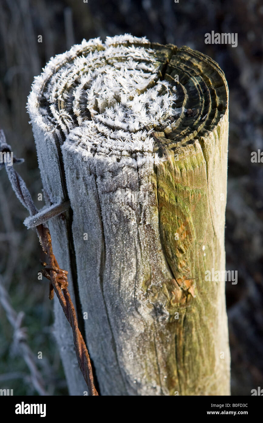 Fence post and frosty wires hires stock photography and images Alamy