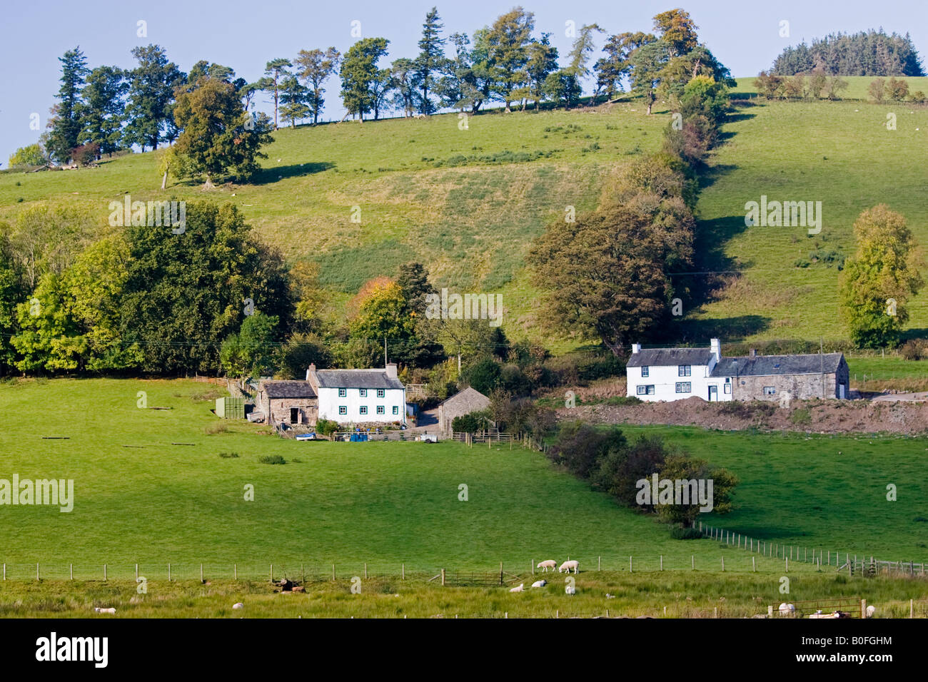 Farm houses in the Lake District England United Kingdom Stock Photo