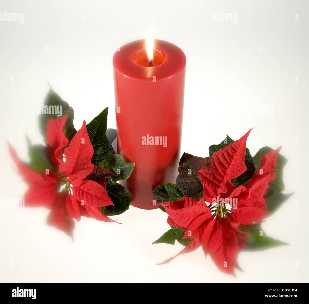 Candle and poinsettias hi-res stock photography and images - Alamy