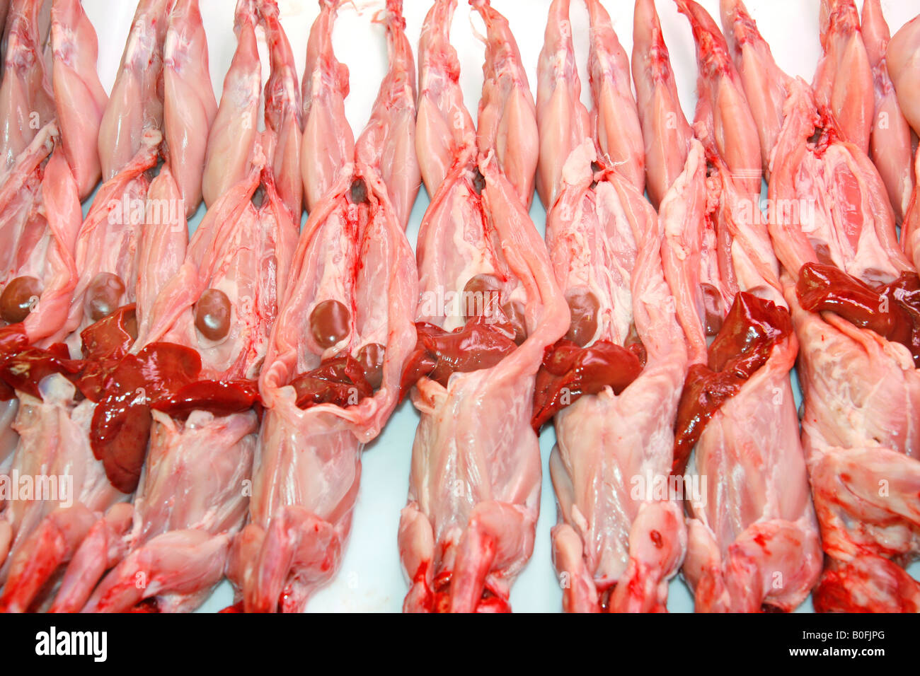 Rabbit Meat Sale Stock Photos & Rabbit Meat Sale Stock ...