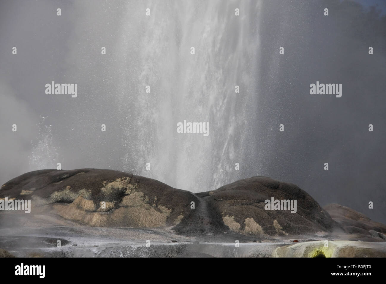 Pōhutu Geyser Exploding Close-up on Pohutu geyser erupting, in Whakarewarewa Thermal Valley ...