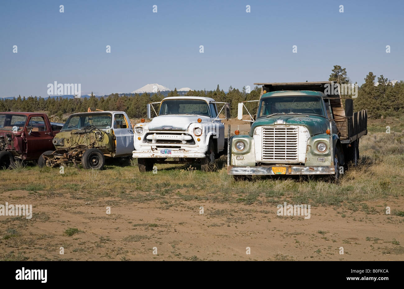 USA OREGON BEND A selection of old Ford Chevrolet and International