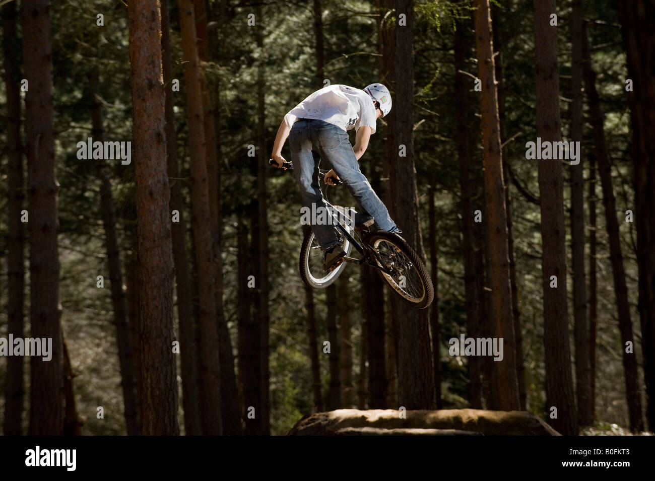 trick mtb bikes
