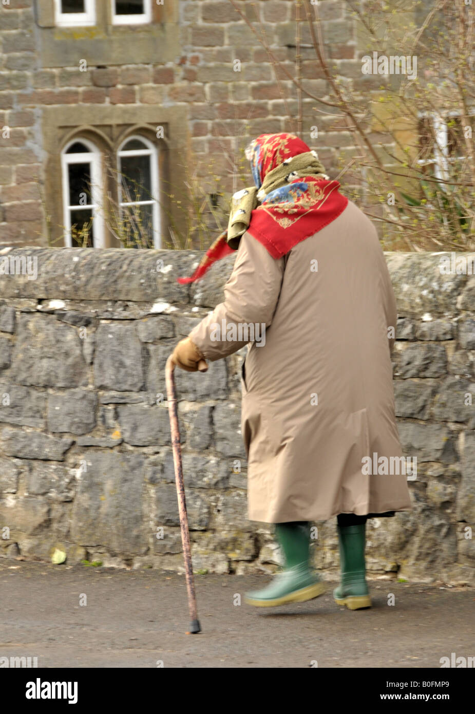 Old Lady walking with wooden stick wearing  green wellington boots and  red head scarf in the Peak District Derbyshire Stock Photo