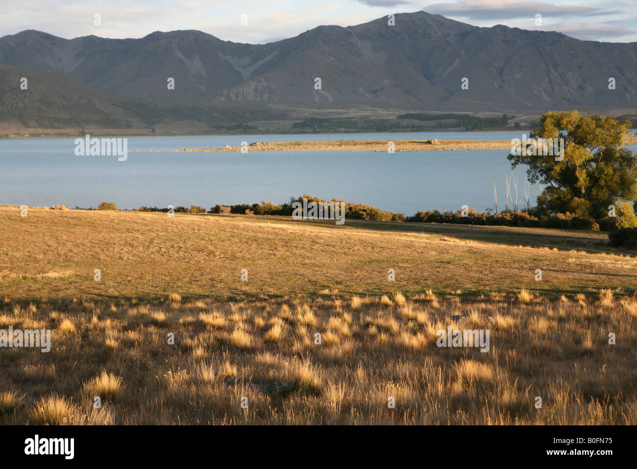 Sunset near Lake Tekapo South Island New Zealand Stock Photo - Alamy