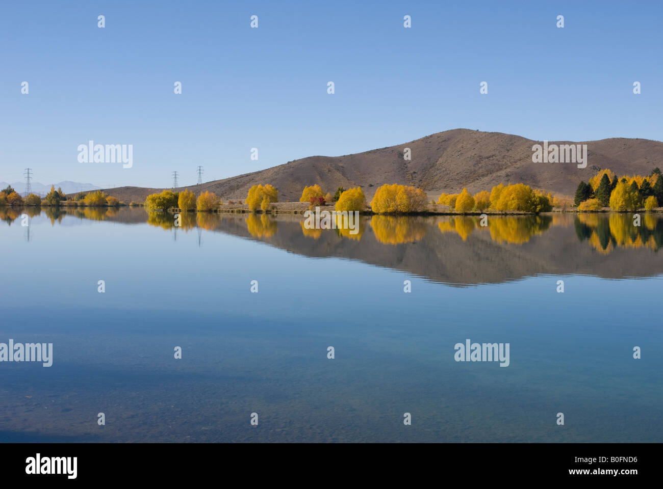 Lake reflecting trees with golden autumn leaves Stock Photo - Alamy