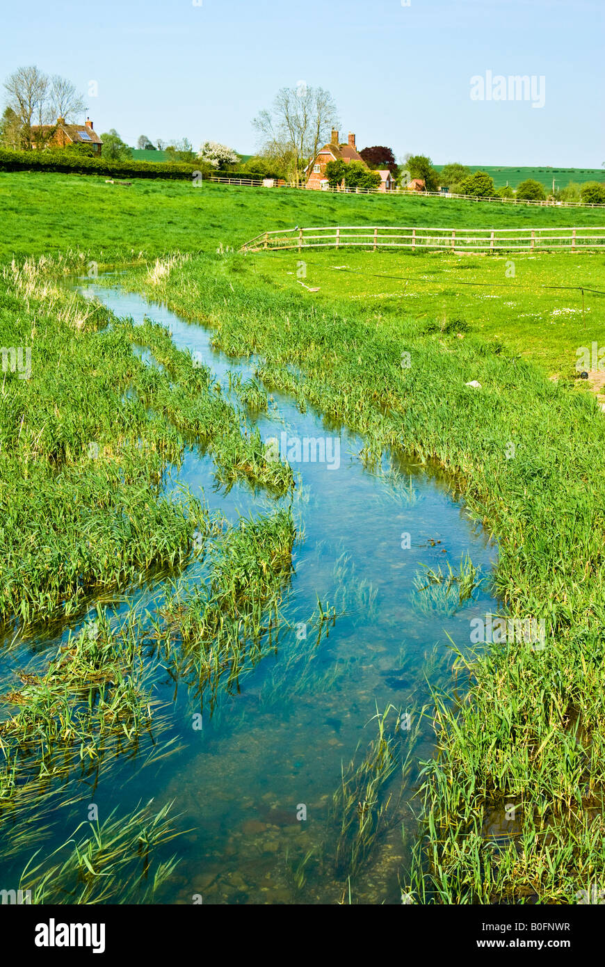 River Kennet not far from its source in Wiltshire England UK EU Stock Photo