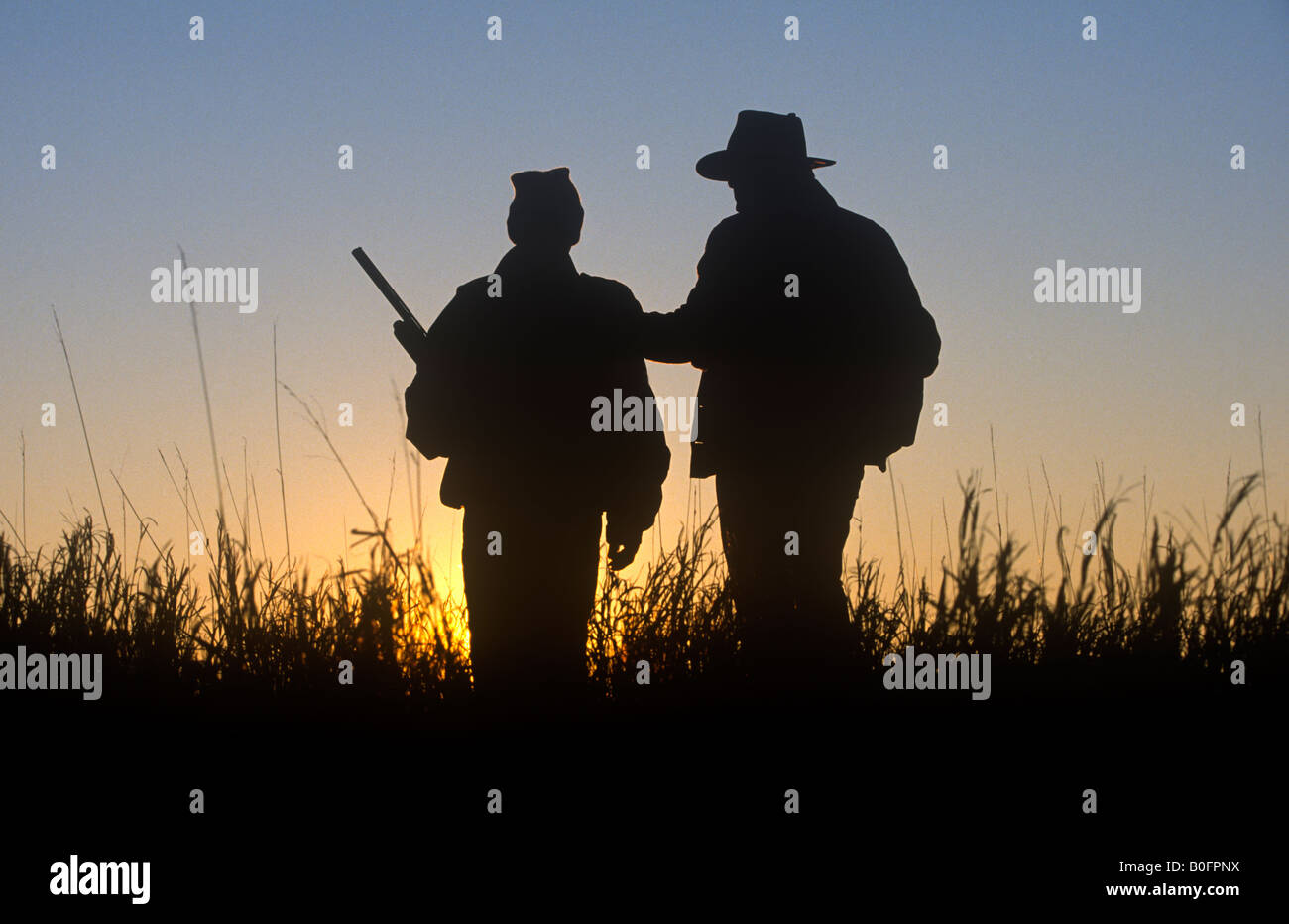A father and son bird hunting in a grassy field at the end of the day. Stock Photo