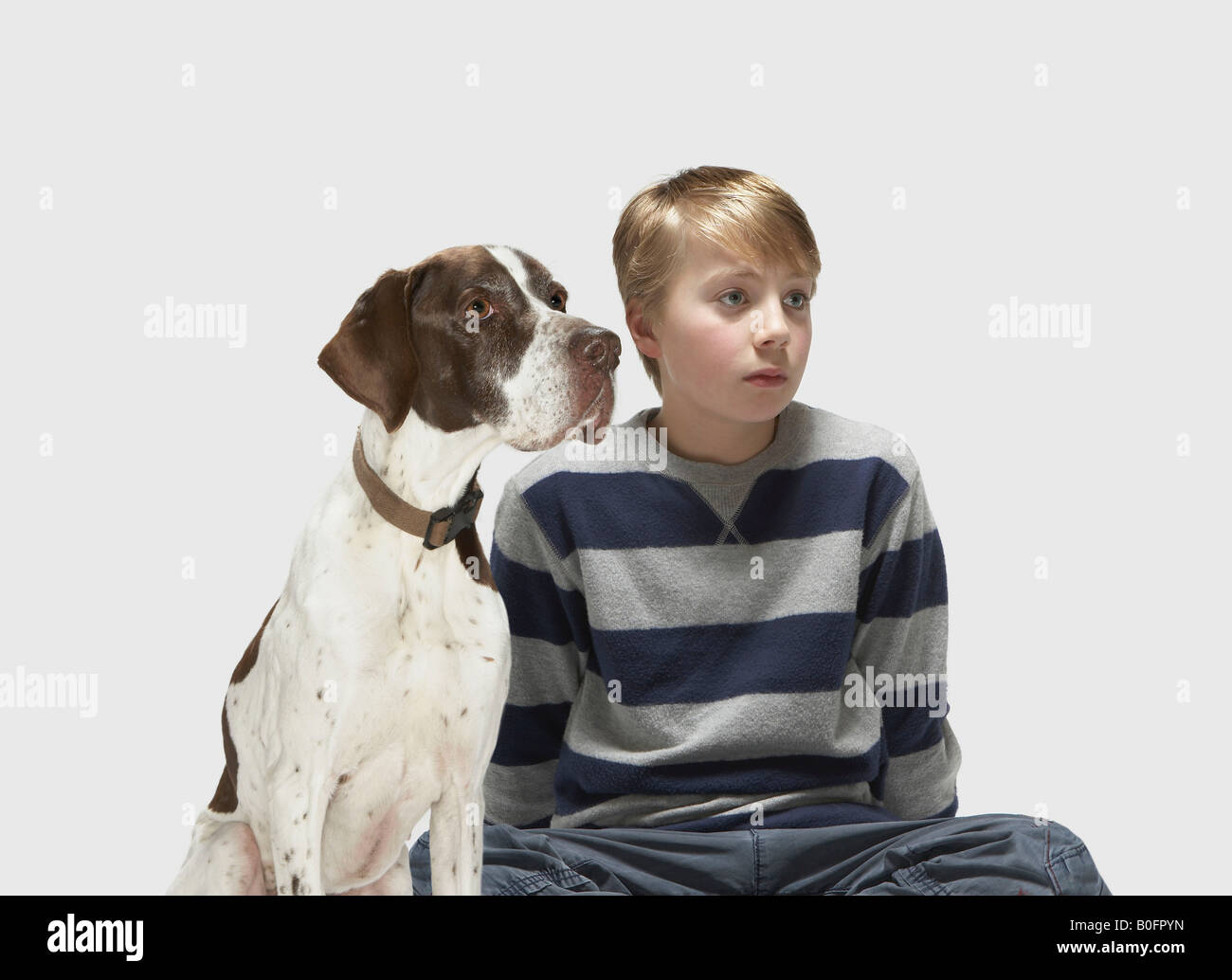Boy and Pointer looking to the side Stock Photo