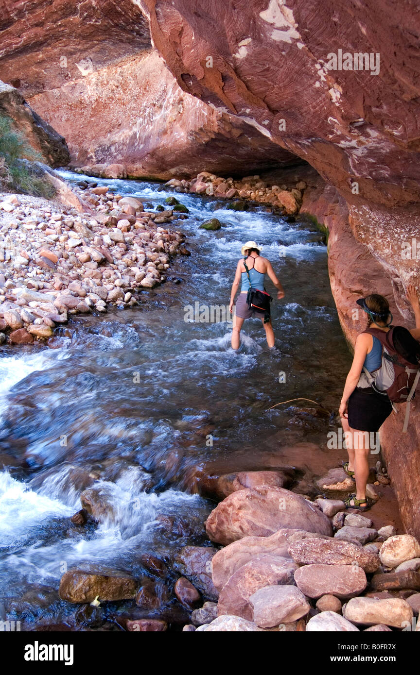 Woman hikers crossing stream in canyon, Grand Canyon, United States Stock Photo