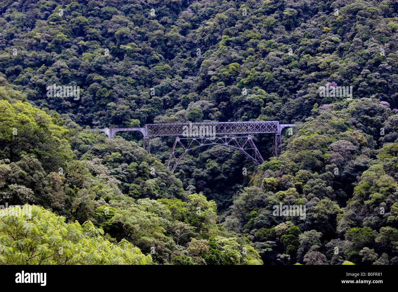 Sao Joao Bridge at train path between Morretes and Curitiba Stock Photo