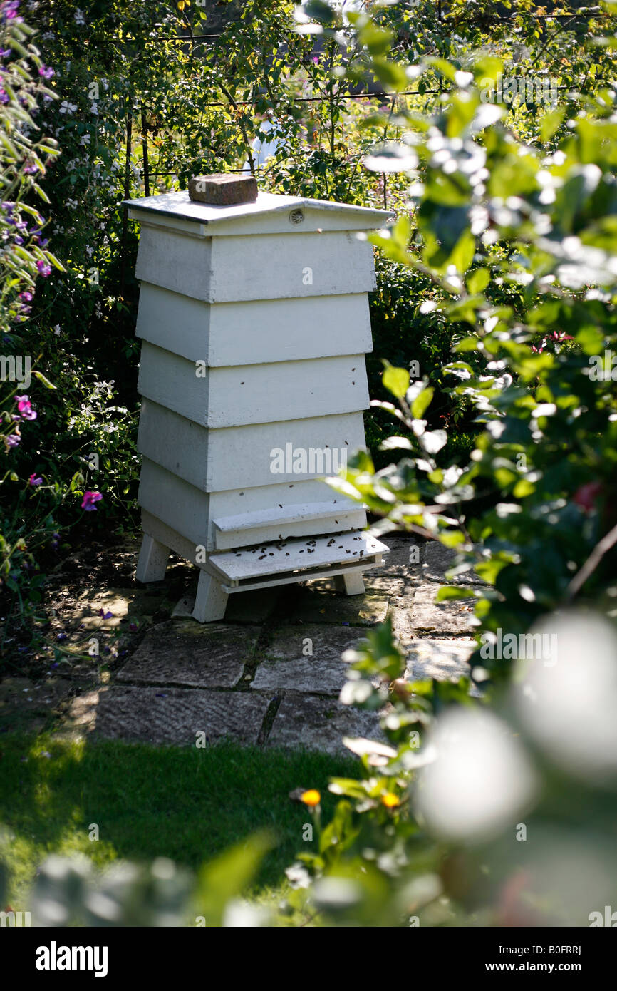 beekeeping equipment beehives summer apiary Stock Photo
