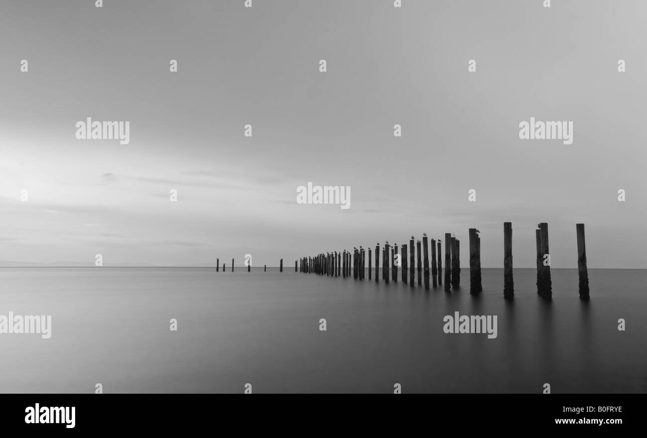 Old pier at Point Roberts Stock Photo Alamy
