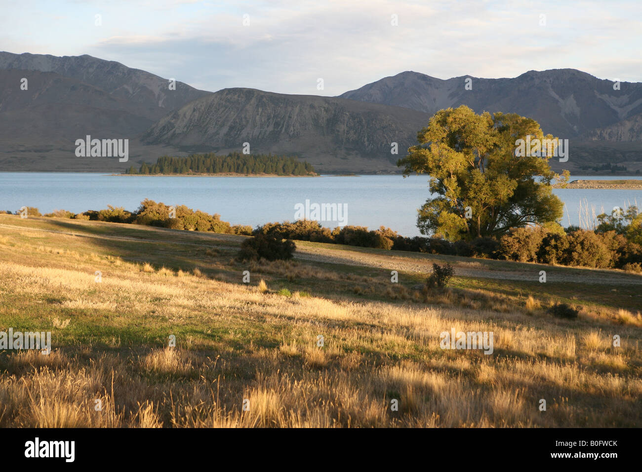 Sunset near Lake Tekapo South Island New Zealand Stock Photo - Alamy
