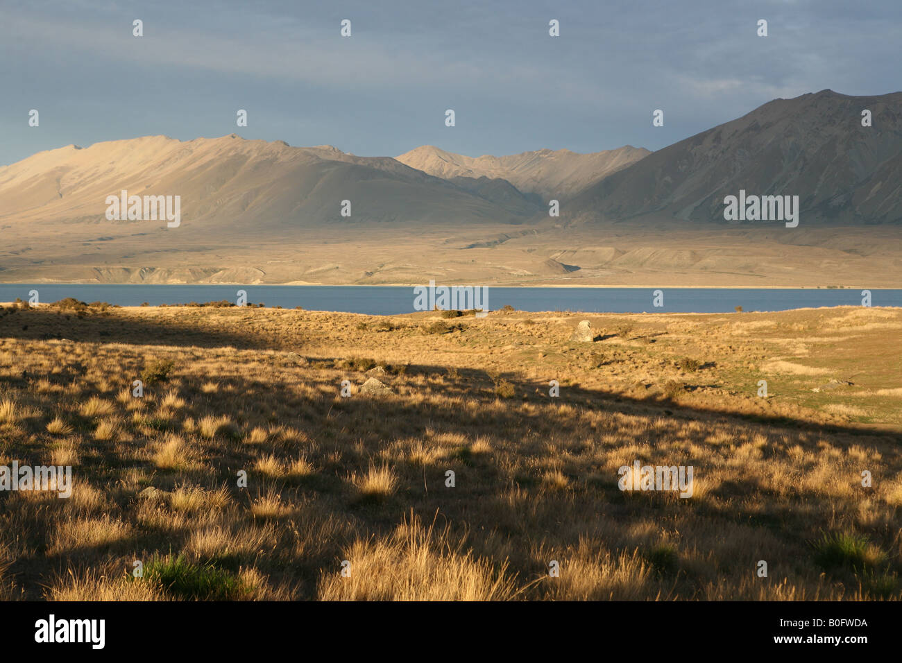Sunset near Lake Tekapo South Island New Zealand Stock Photo - Alamy