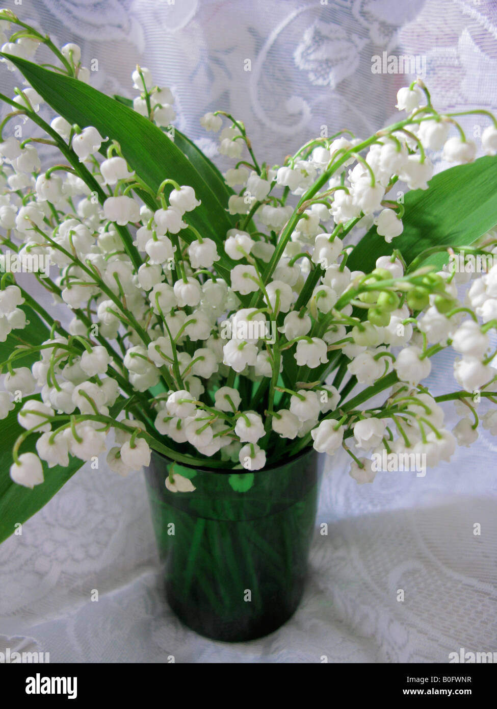 Lily of the valley flowers arranged in a vase Stock Photo - Alamy