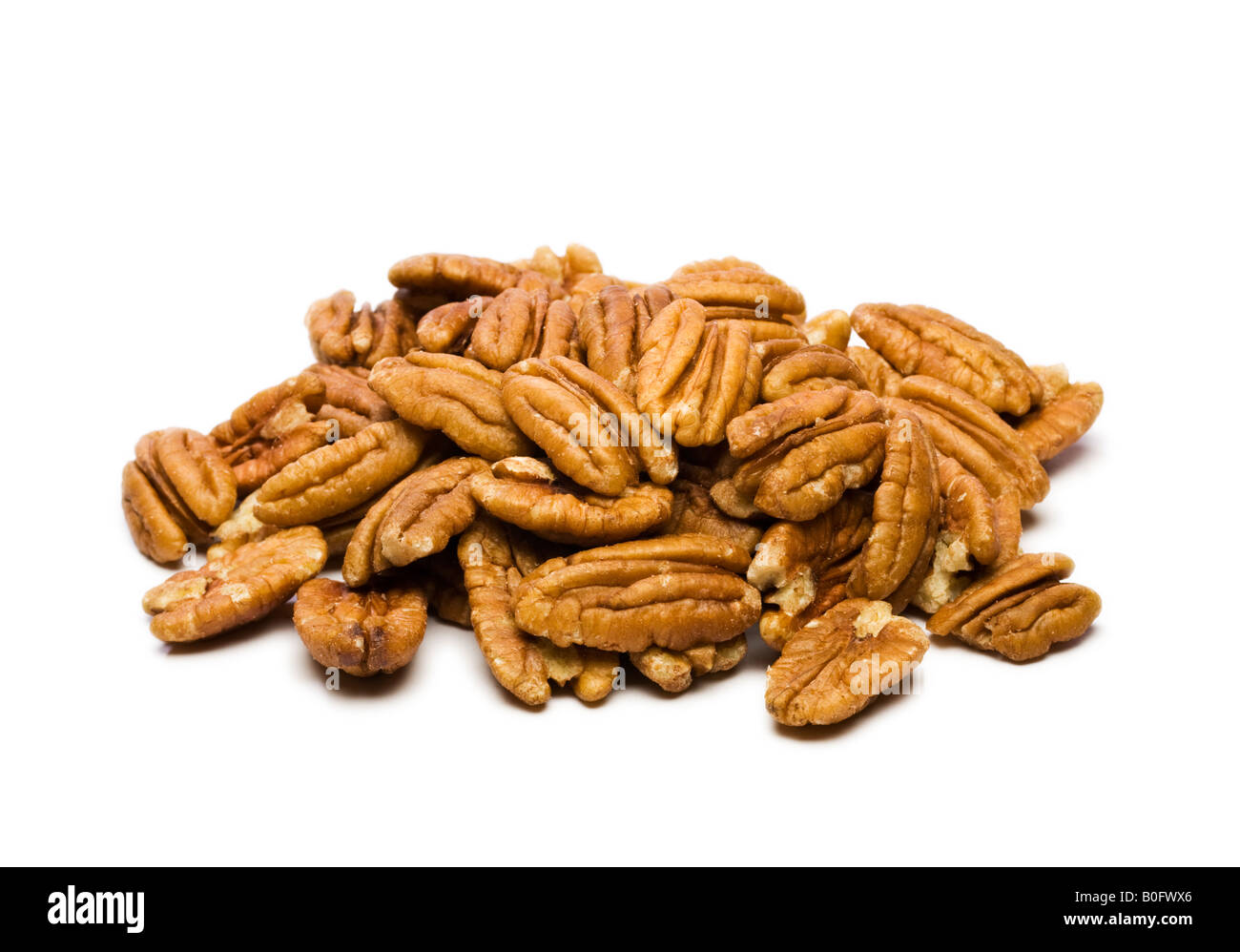 Pecan nuts Cut Out Stock Images & Pictures Alamy